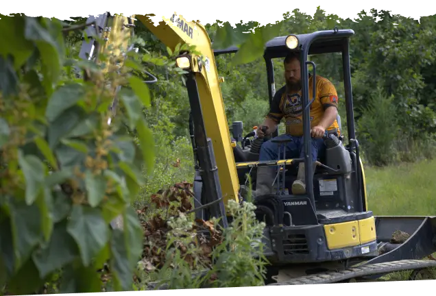 brush clearing services jasper. tn